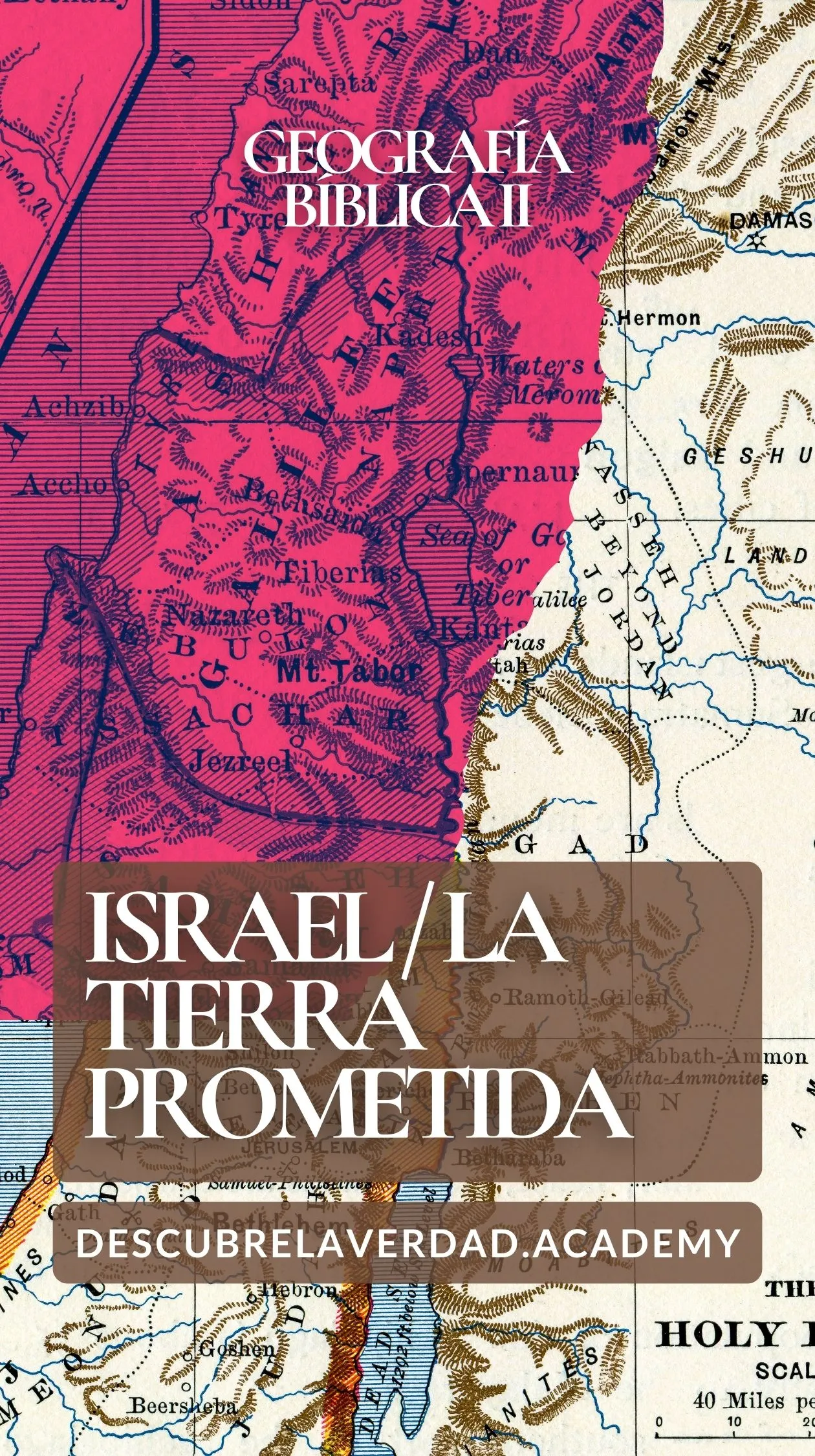 portada-de-materia-6