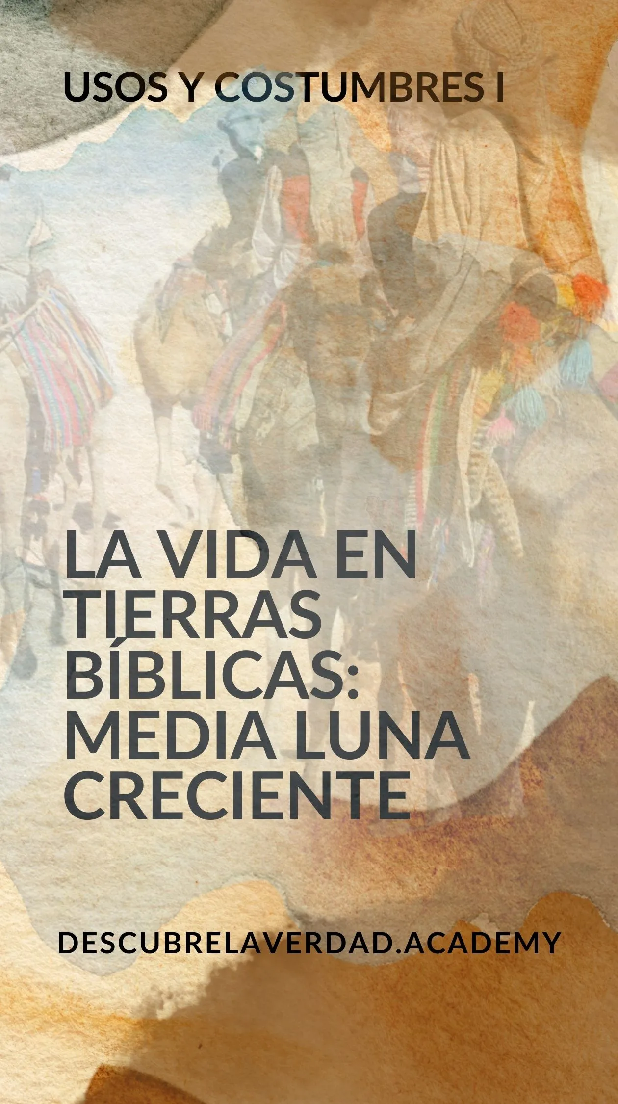 portada-de-materia-7