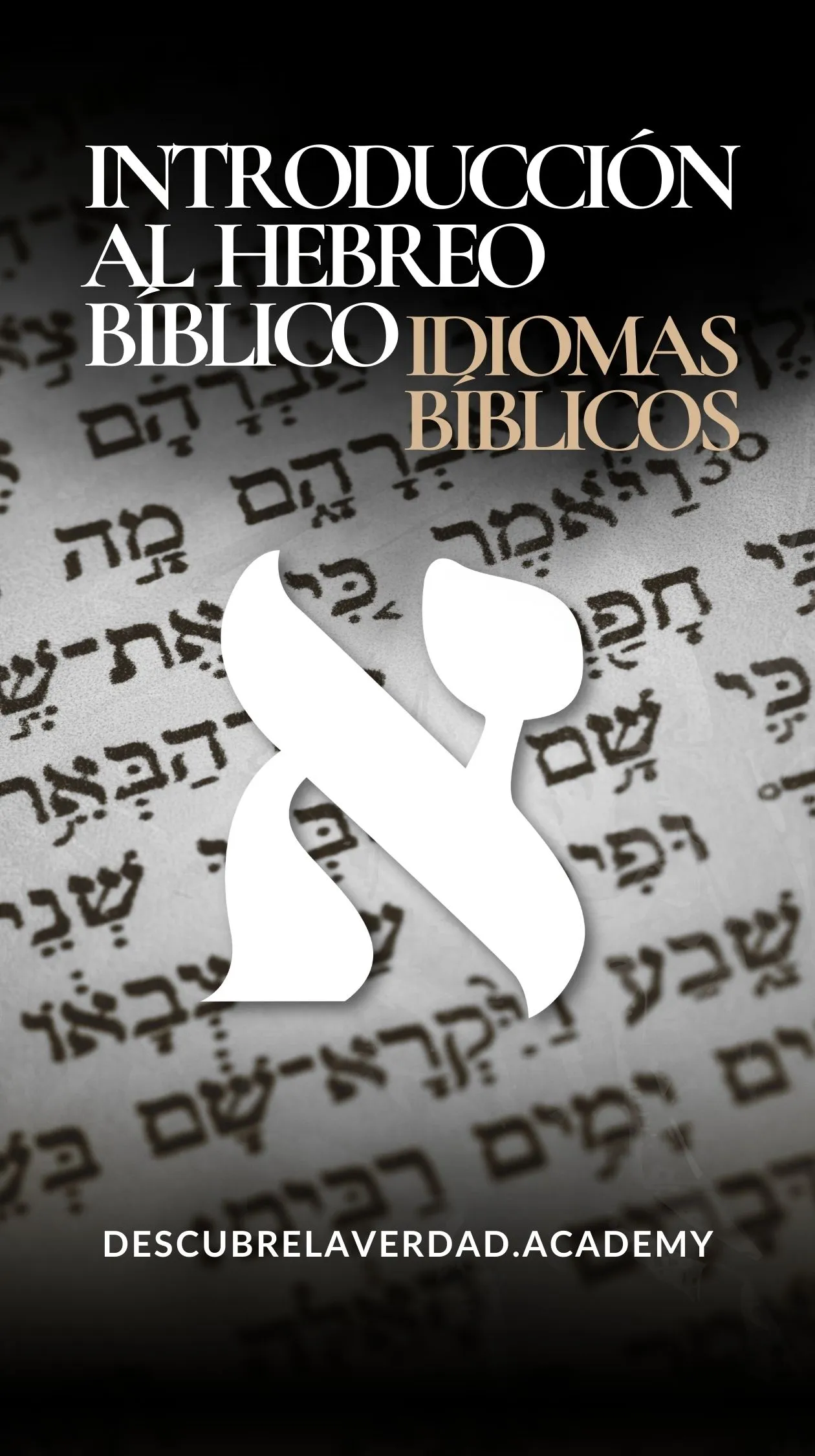 Portada_de_Materia_2026_5